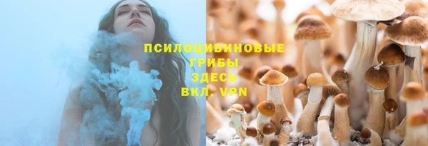 ПСИЛОЦИБИНОВЫЕ ГРИБЫ Балабаново
