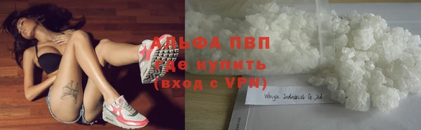 крисы Баксан