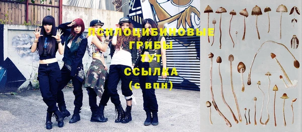 ПСИЛОЦИБИНОВЫЕ ГРИБЫ Балабаново