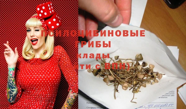 Альфа ПВП Балахна