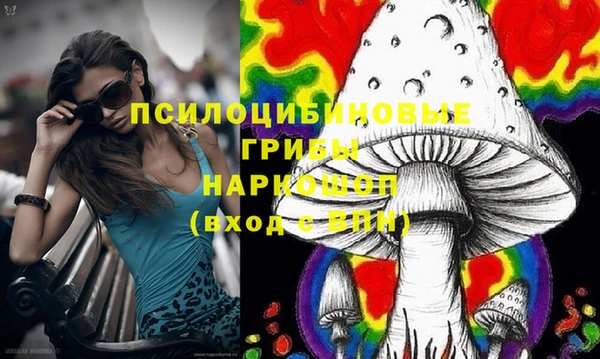 крисы Баксан